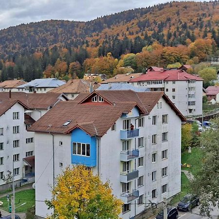 Sinaia Alpineview Residence Exteriör bild